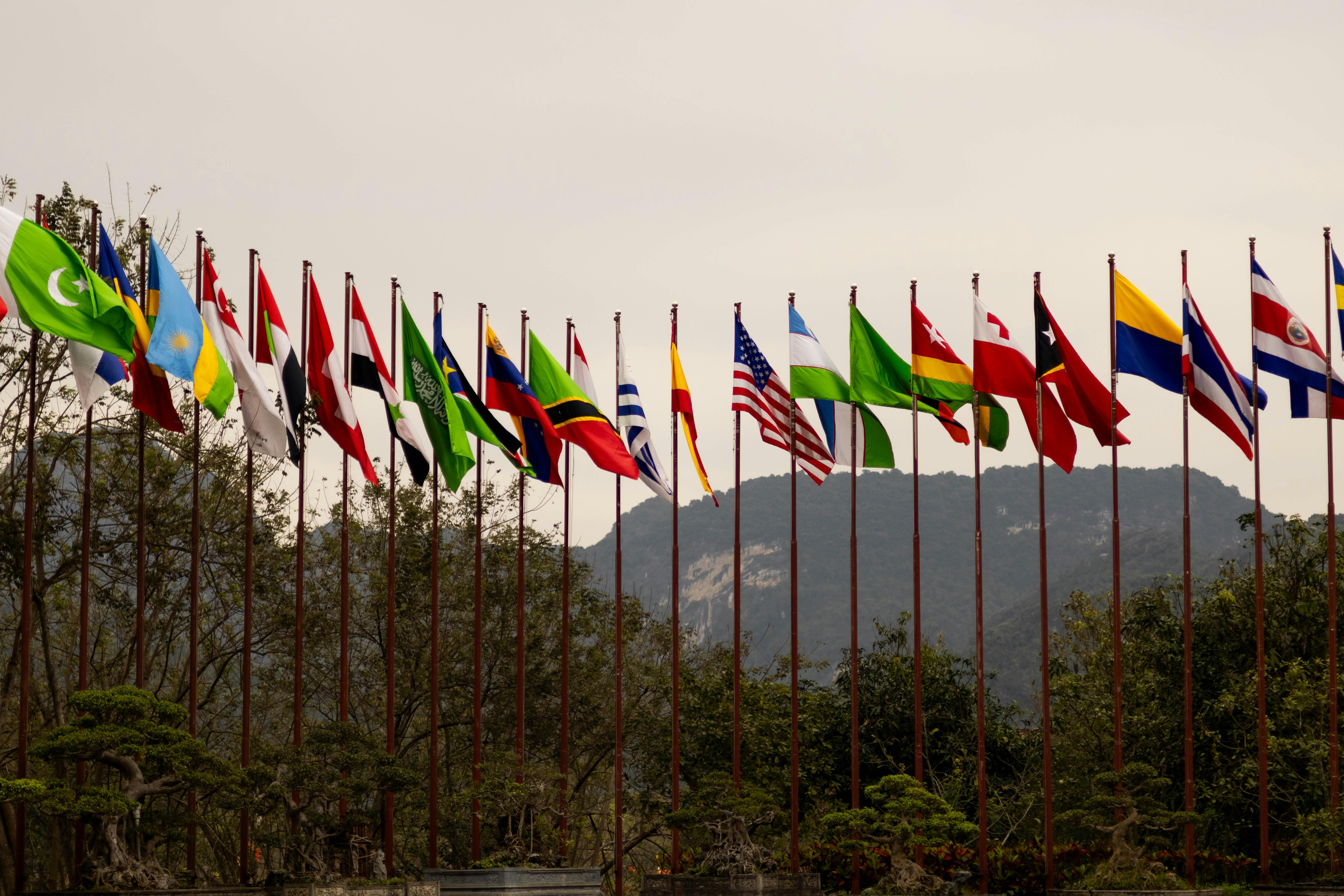 International Procurement
